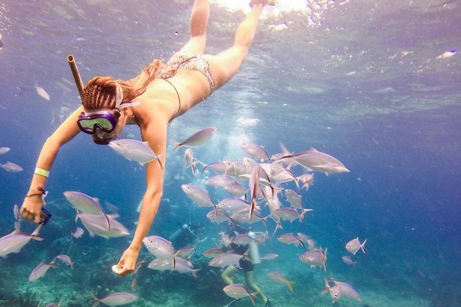 Scuba Diving at Catalina Island - 2 tank | 2 spots - Price reality check, does $152 make sense for a 2-tank day?