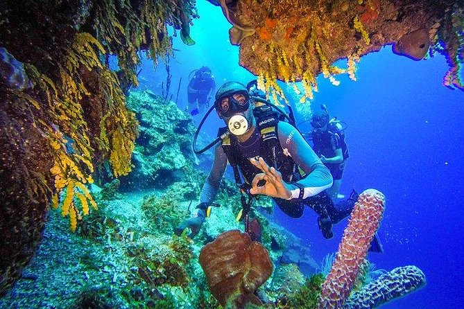 Scuba Diving at Catalina Island - 2 tank | 2 spots - On the catamaran to The Wall, your first underwater session