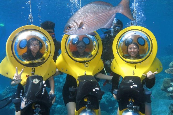 Scuba Doo Diving Experience in Punta Cana - Key moments that make this tour work (or not)