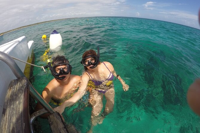Scuba Doo - Diving Scooters in Punta Cana - What you will see under the dome and at the reef