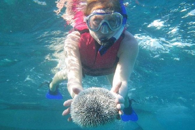 Scuba Doo Underwater Scooter in Punta Cana (Half Day) - Scuba Doo Helmet Breathing: The Real Hook