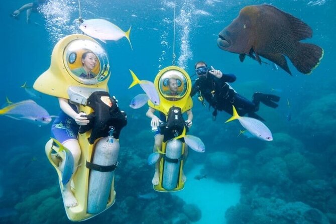 Scuba Doo Underwater Scooter in Punta Cana (Half Day) - Boat Ride Setup: The Included Glass-Bottom Moment