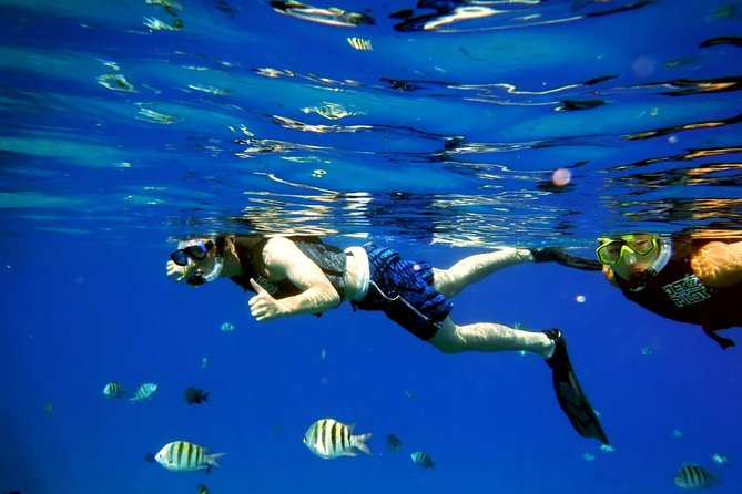 Shared 2 hours Sosúa Bay Snorkeling with Professional Guide - Key takeaways before you book