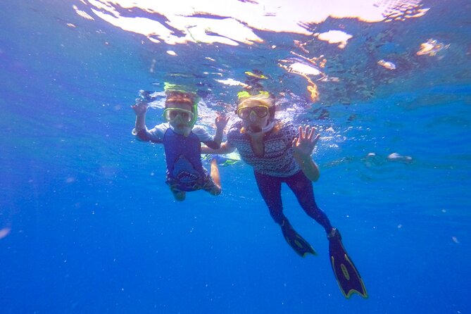 Shared 2 hours Sosúa Bay Snorkeling with Professional Guide - Stop 1: the first water session and why timing matters