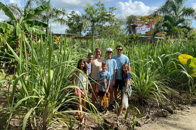 Shared Half-Day Tour in Punta Cana with Local Guide - Price and Value: What $85 Buys in the Real World