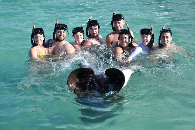 Sharks & Stingrays Encounter and Small Boat Ride from Punta Cana - Beach time plus the order of activities: why the flow can make or break your day