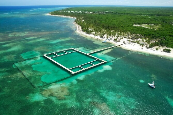 Sharks & Stingrays Snorkeling in Punta Cana with Parasailing - Guided snorkeling with nurse sharks and stingrays