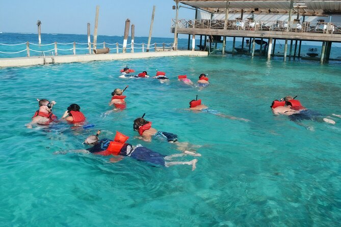 Sharks & Stingrays Snorkeling in Punta Cana with Parasailing - Price and value: is $169 a good deal?