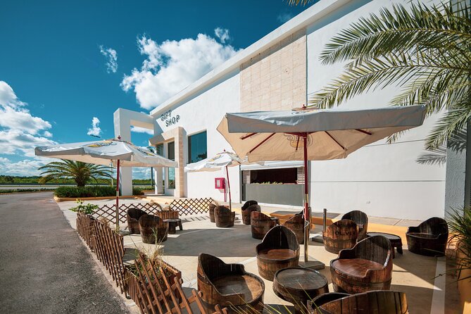 Shopping Tour in Punta Cana with Round Trip Transportation - Duration reality check: plan for shared timing