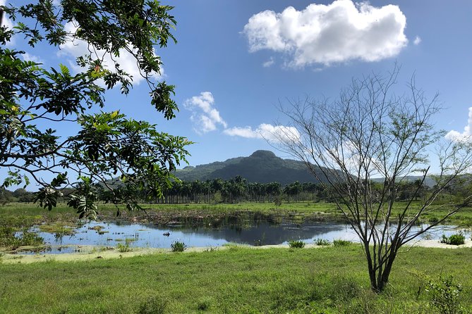 Shore Excursion: V.I.P. DayPass: ATV, Zip Lines, Horseback Riding & Lunch - What’s included, what’s not, and how to avoid hassle