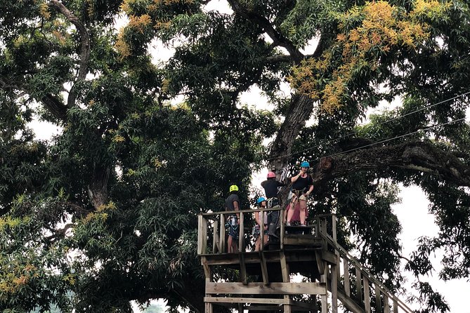 Shore Excursion: Zip Line Adventure - The ranch experience beyond the zips: fruits, animals, and time to look around