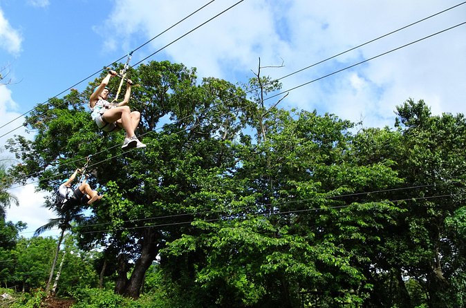 Shore Excursion: Zip Line Adventure - Who this zipline tour suits, and who should skip it