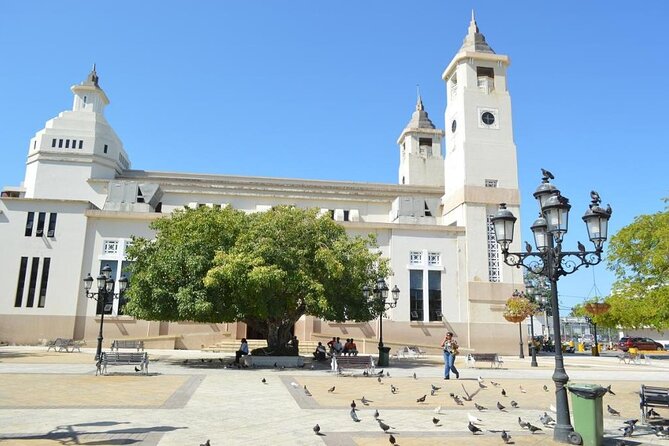 Sightseeing and City Tour in Puerto Plata - Umbrella Street and Paseo de Doña Blanca, Puerto Plata in pink