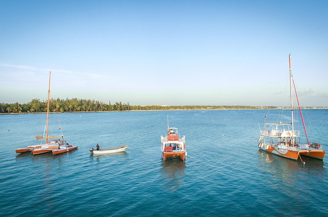 Small-Group Cruising and Snorkeling Catamaran Tour - Crew energy and safety: what actually makes it feel good