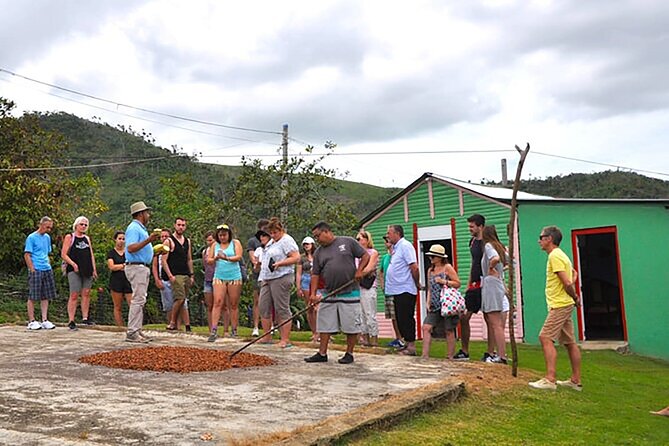 Small Group: Half-Day Cultural Tour of Punta Cana - Getting There: Pickup, Mobile Tickets, and the Safari Truck Question