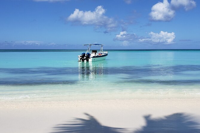 Small Group: Saona Island Full Day Tour - Beating the Saona crowds starts at 6:00 am