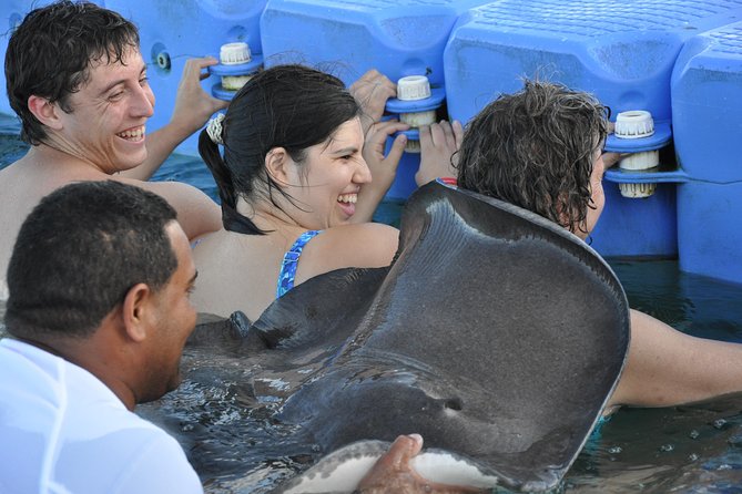 Small Group Snorkeling, Sharks & Stingrays Encounter by boat - The Marine Park Encounter: Manta Rays and Sharks Up Close