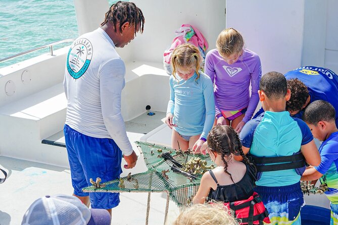 Snorkel Lovers for All Ages & Premium Seafood Lunch in Punta Cana - Getting to the catamaran: pickup, briefing, and a small-group feel
