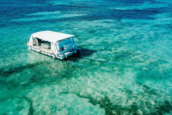 Snorkeling and Swimming on a Caribbean Cruise by Sharky Catamarans - Food and Drink on Water: Lunch, Snacks, and a Floating Food Truck