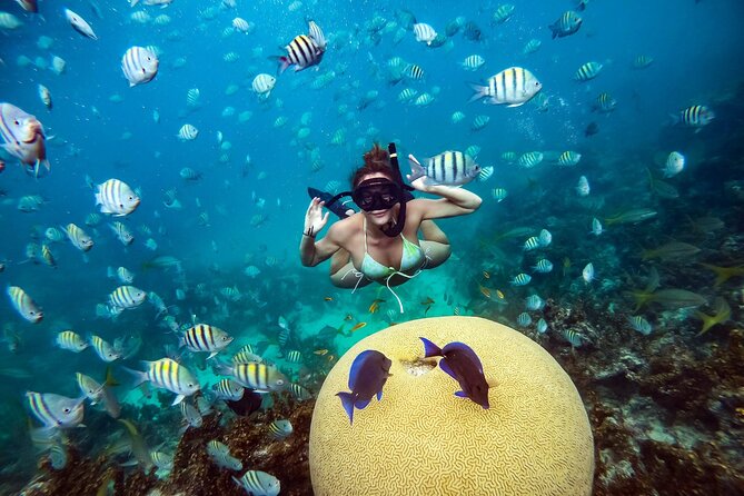 Snorkeling and Swimming on a Caribbean Cruise by Sharky Catamarans - Who Should Book This Tour (And Who Might Prefer Something Else)