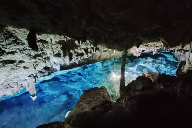 Snorkeling in the Cenotes of Bayahibe - The jungle crossing: a short hike with real nature time
