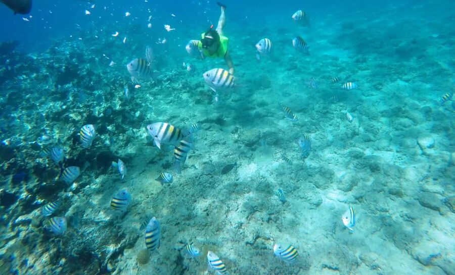 Snorkeling Tour & Sosua Beach Day - Key Things That Make This Sosua Snorkeling Day Worth Your Time