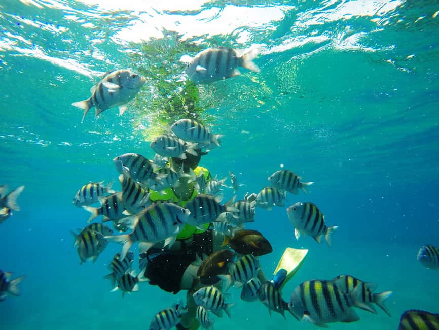 Snorkeling Tour & Sosua Beach Day - From Your Hotel to Sosua Bay: The Smooth Start