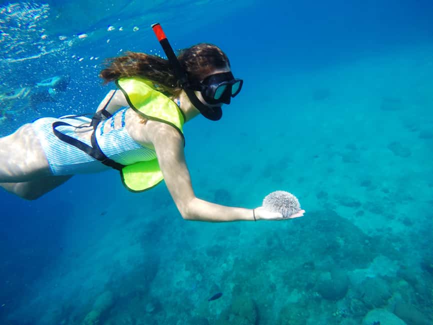 Snorkeling Tour & Sosua Beach Day - Back to Sosua Bay for the Second Reef: More Variety, Same Beach Base
