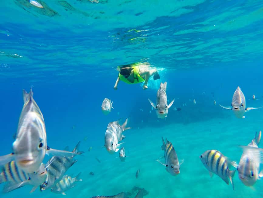 Snorkeling Tour & Sosua Beach Day - Three Rocks on Your First Snorkeling Leg: What to Expect
