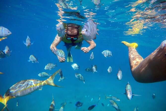 Sosua Party Boat -Snorkeling-Brunch-Drinks-Snacks-Transportation - Who This Tour Fits Best (And Who Might Want Another Option)