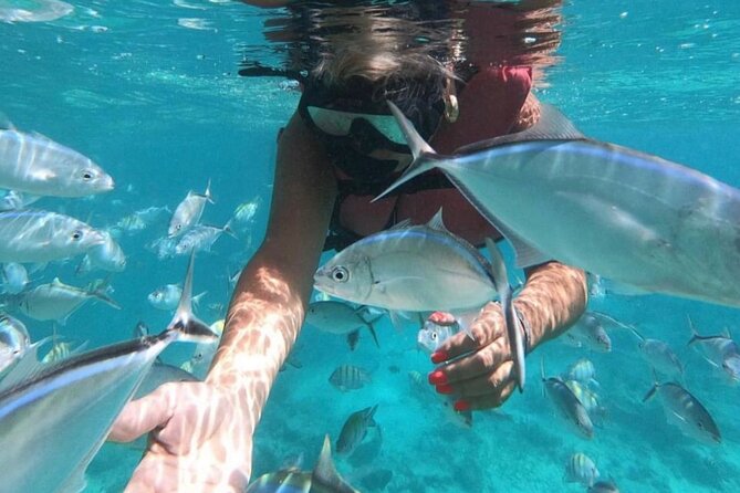 Speed Boat and Snorkeling in Punta Cana Bavaro - Natural pool and sandbar: crystal-clear water with a human twist