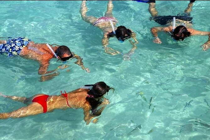 Speed Boat Ride and Snorkel Experience in Punta Cana - Price of $58: What You Get, What You Pay Extra For
