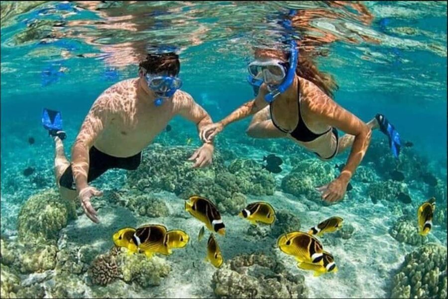 Speedboat Adventure and Snorkeling from Punta Cana - The natural pool sandbank: clear water and real fun factor