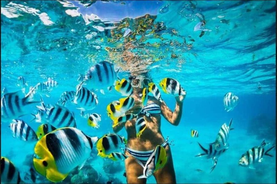 Speedboat Adventure and Snorkeling from Punta Cana - Duration and value: is $80 a fair deal?