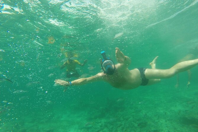 Speedboat Sailing with Snorkeling Experience in Punta Cana - Snorkeling stops in Bávaro-Punta Cana: coral, marine life, and the quick-time reality