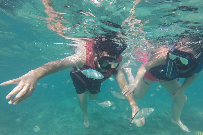 Speedboat Sailing with Snorkeling Experience in Punta Cana - Getting the most out of your trip: small tips that prevent big annoyances