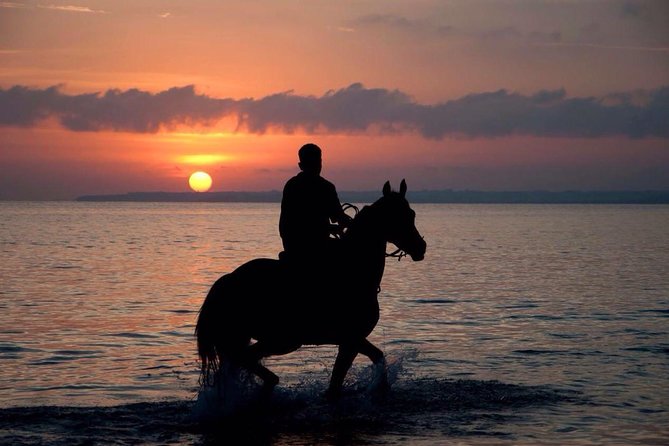 Sunset Beach Horseback Riding - Key things worth knowing before you go
