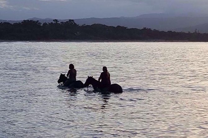 Sunset Beach Horseback Riding - Why this Puerto Plata sunset ride feels different from the usual
