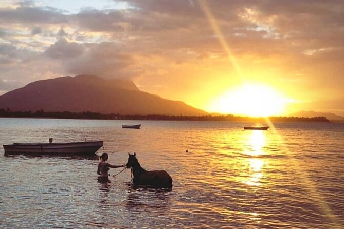 Sunset Beach Horseback Riding - Dinner by the water: what you’re really paying for at night