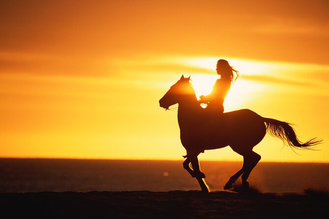 Sunset Beach Horseback Riding - The optional horse swim: fun when it works, not guaranteed