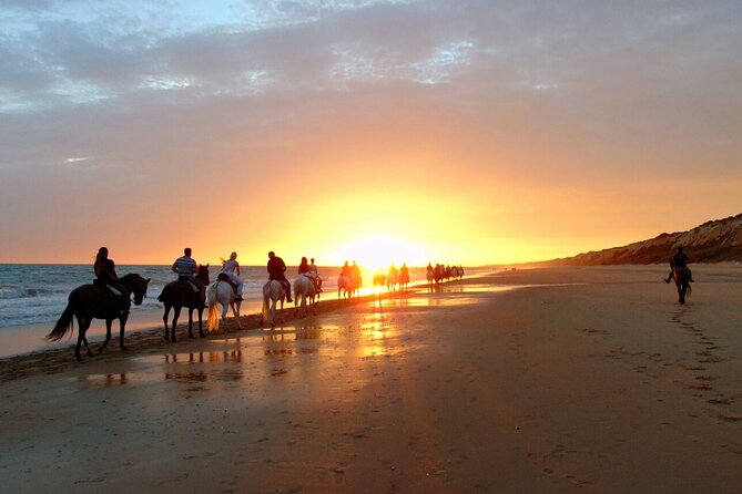 Sunset Beach Horseback Riding - Horses, guides, and how beginners usually fit in