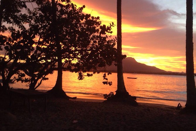 Sunset Beach Horseback Riding - From jungle gravel to the beach: what the ride route is like