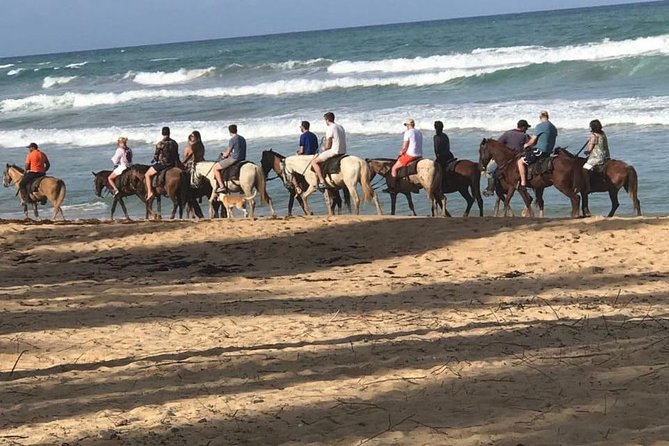 Sunset beach horsebackriding Punta Cana - Key things to know before you ride at Rancho El Diferente