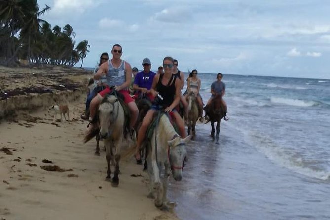 Sunset beach horsebackriding Punta Cana - Beyond the sand: coconut trees, the Maimon River mouth, and a real guide-led stop