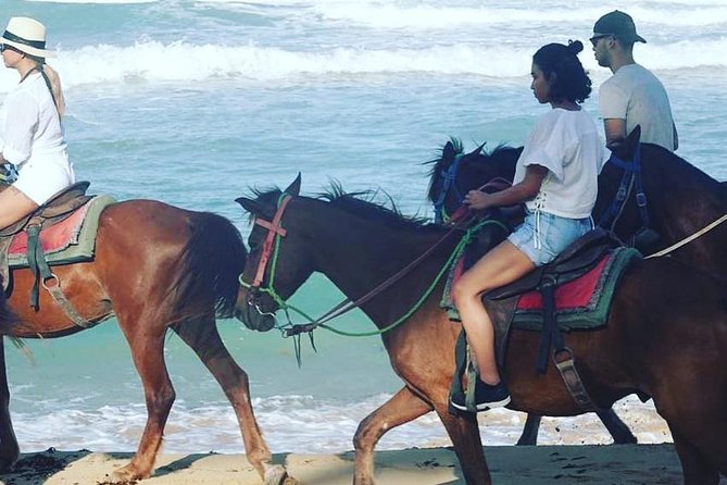 Sunset beach horsebackriding Punta Cana - Horse quality, rider comfort, and what I’d watch for on arrival