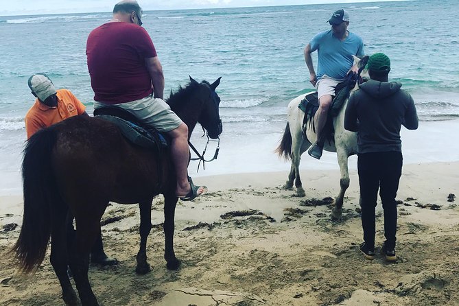 Sunset beach horsebackriding Punta Cana - Price, what’s included, and the real value of $57.15