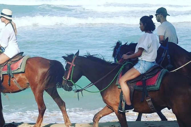 Sunset beach horsebackriding Punta Cana - Pickup, short ride to the site, and what you get before you mount