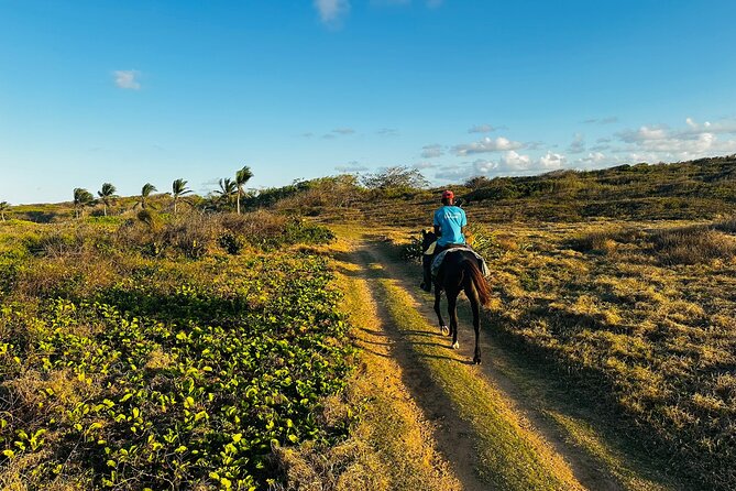 Sunset Horseback Ride at Macao Beach & Forest with Transfers - Sunset horseback riding at 4:30 pm: what you’re really signing up for