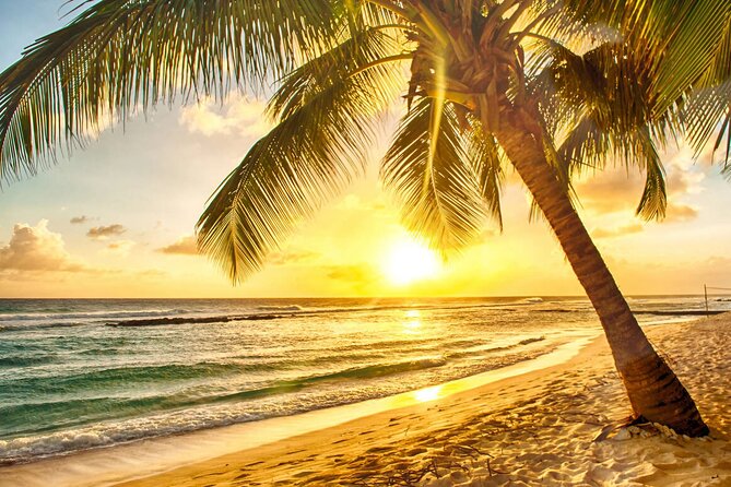 Sunset Horseback Ride at Macao Beach & Forest with Transfers - Rio Maimon river stop for 45 minutes: calm water beside the sea