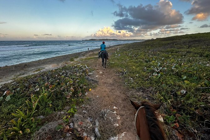 Sunset Horseback Ride at Macao Beach & Forest with Transfers - Who this sunset ride suits best